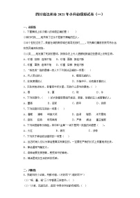 六年级下册语文试题-四川省达州市2021年小升初模拟试卷（一） 部编版（含答案）