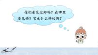 语文三年级下册15* 小虾获奖ppt课件
