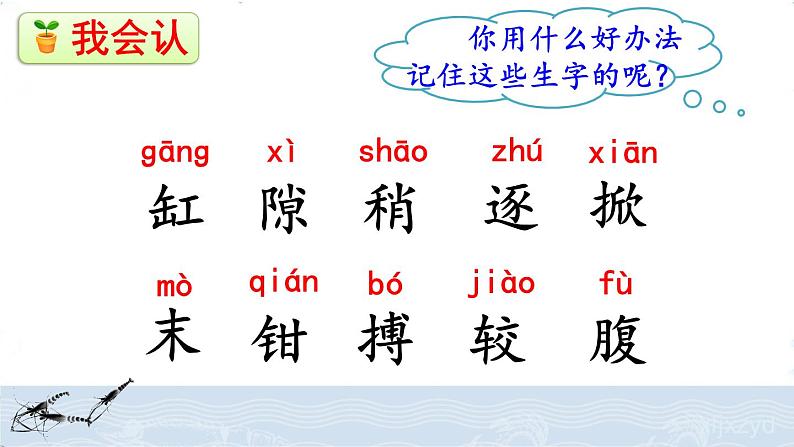 人教部编版语文三年级下册4.15 《小虾》课件+教案+素材06