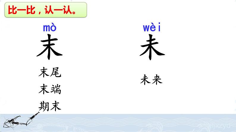 人教部编版语文三年级下册4.15 《小虾》课件+教案+素材08