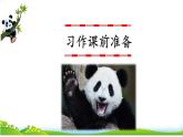 人教部编版小学语文三年级下册习作 ：国宝大熊猫  课件+教案