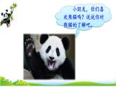 人教部编版小学语文三年级下册习作 ：国宝大熊猫  课件+教案