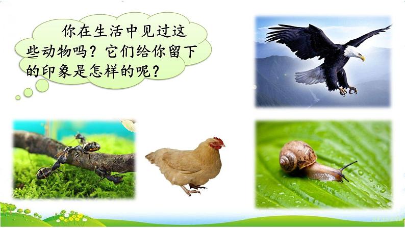 人教部编版小学语文三年级下册习作：这样的想象真有趣  课件+教案+素材02