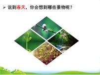 人教部编版二年级下册2 找春天试讲课课件ppt