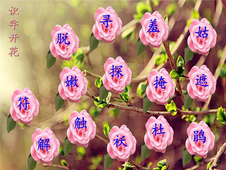 人教部编版语文二年级下册1.2《 找春天》课件+教案+素材07