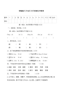 统编版六下语文小升初强化冲刺卷(含答案)