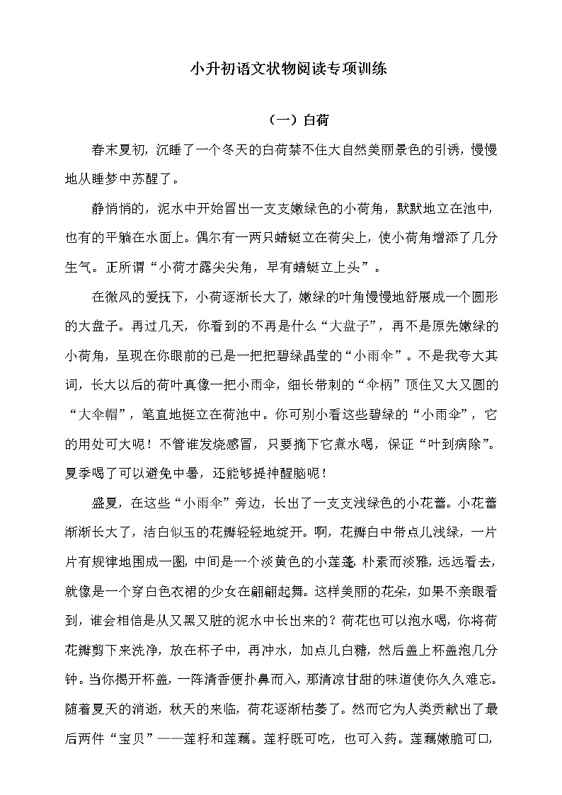 人教统编版小升初语文试题--状物阅读专项训练题（含答案）01