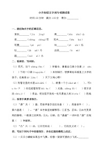 2020学年小升初语文字词专项训练测试卷-人教统编版（含答案）