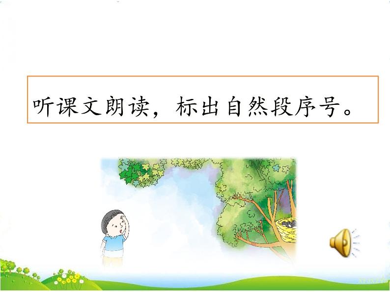 人教部编版语文二年级下册4.9《 枫树上的喜鹊》课件+教案+素材03