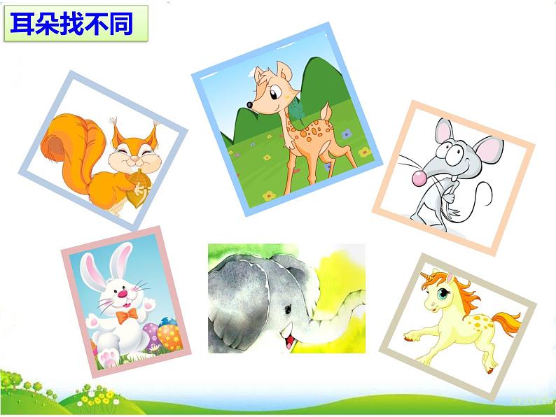 人教部编版语文二年级下册7.19《 大象的耳朵》课件+教案+素材01