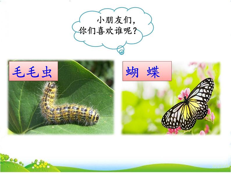 人教部编版语文二年级下册7.22 《小毛虫》课件+教案+素材01