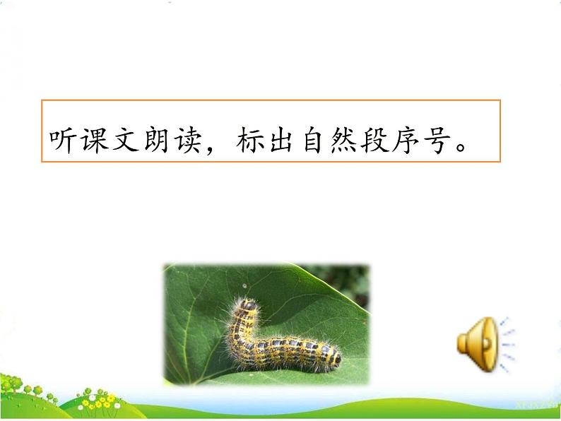 人教部编版语文二年级下册7.22 《小毛虫》课件+教案+素材03