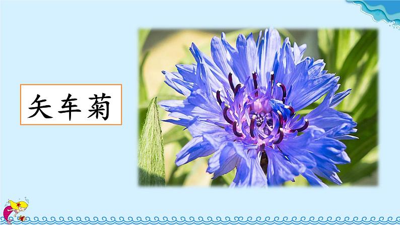 人教部编版语文四年级下册8.28《 海的女儿》课件+教案+素材07