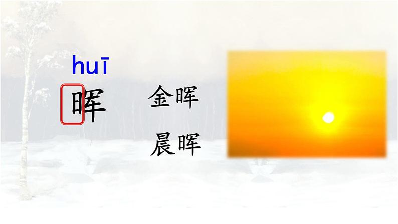 人教部编版语文四年级下册3.11《 白桦》课件+教案+素材07