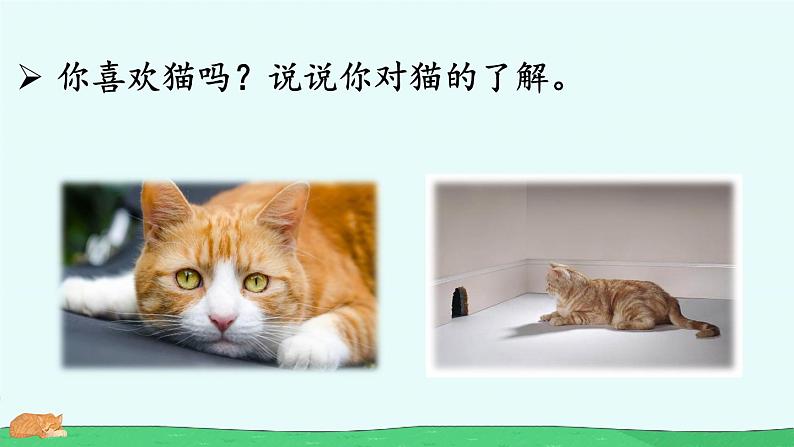 人教部编版语文四年级下册4.13 《猫》课件+教案+素材02