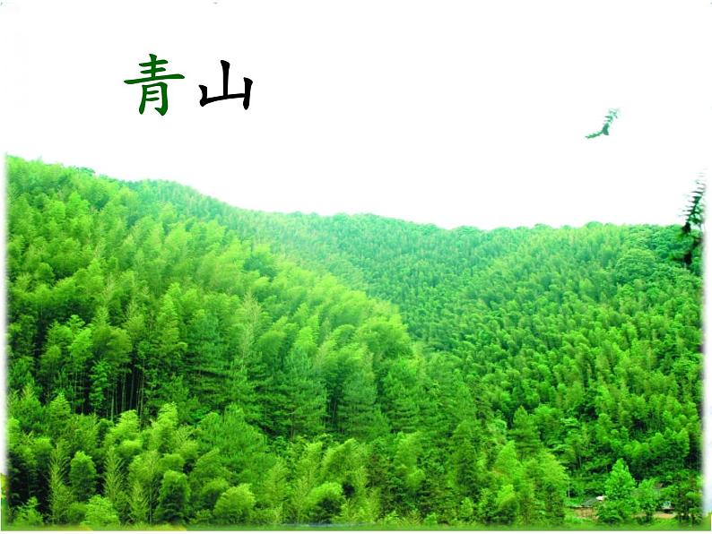 人教部编版语文一年级下册识字1.3《 小青蛙》课件+教案+素材04