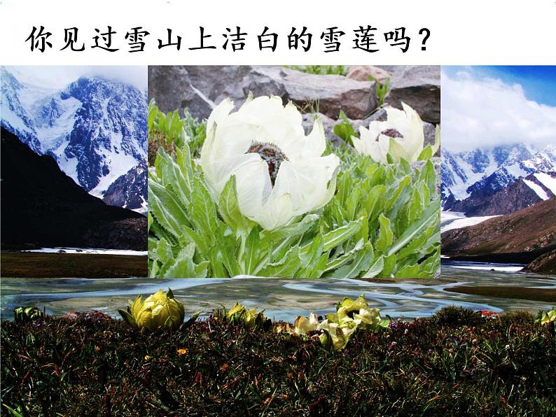 人教部编版语文一年级下册课文2.2 《我多想去看看》课件+教案+素材04