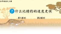 人教部编版五年级上册7 什么比猎豹的速度更快备课课件ppt