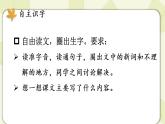 人教版五年級(jí)語(yǔ)文上冊(cè) 第五單元 17 松鼠 課件PPT
