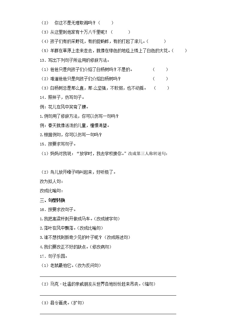 【精品】小升初语文知识专项训练（基础知识二）-9.修辞--比喻和拟人（19页）03