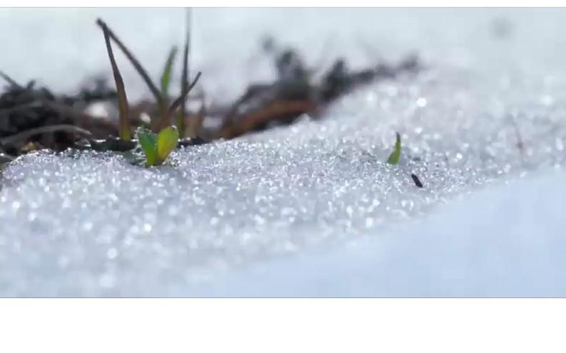 人教部编版五四制小学语文 雪孩子公开课 课件01