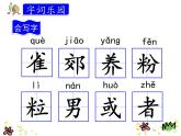 统编版三年级语文上册课件26.灰雀