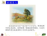 统编版三年级语文上册课件20.美丽的小兴安岭