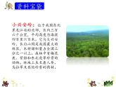 统编版三年级语文上册课件20.美丽的小兴安岭