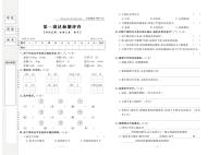 人教部编版 3年级语文下册试卷：周考+单元考+月考+期中+期末+答案PDF