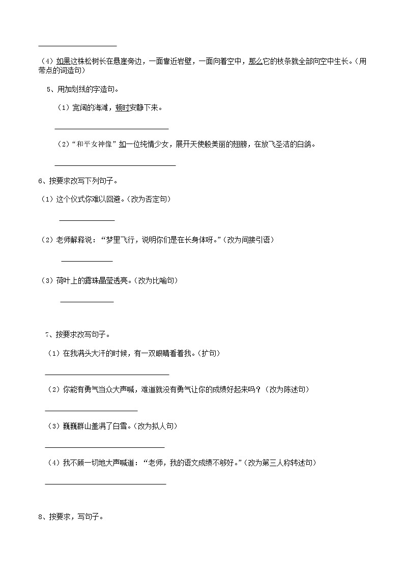 21小升初句法句式-修辞02（18页） 试卷02