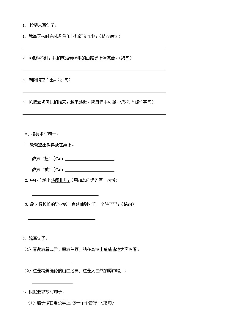 25小升初句法缩写句子（11页） 试卷01