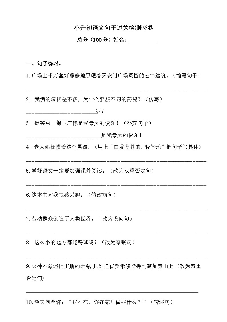 2021学年小升初语文句子过关检测密卷-人教统编版（含答案）-（二）第1页