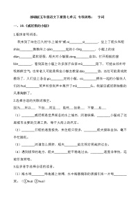 小学语文人教部编版五年级下册第七单元单元综合与测试课后练习题