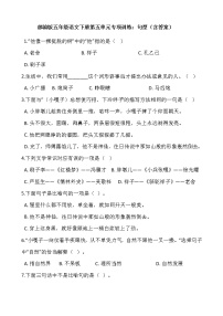 小学人教部编版第五单元单元综合与测试精练