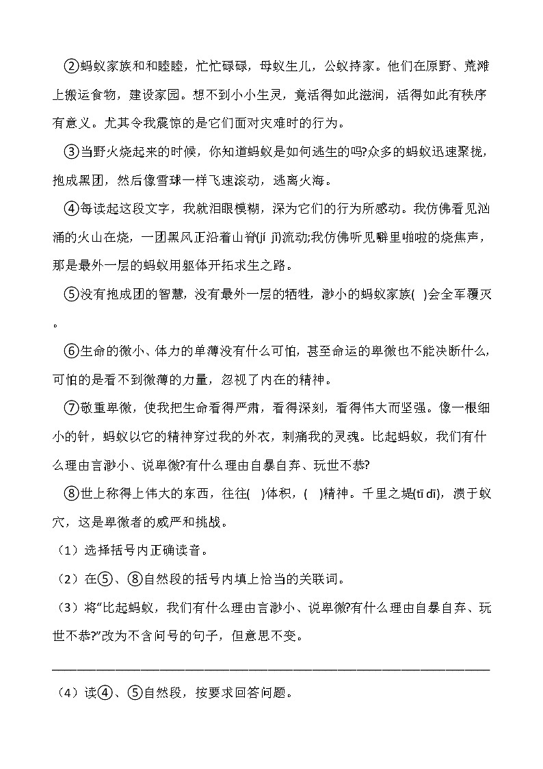 部编版五年级语文下册第一单元 专项训练     课外阅读03