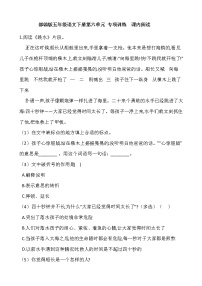 小学语文人教部编版五年级下册第六单元单元综合与测试同步训练题