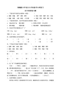 统编版语文小升初备考专项复习--汉字类型练习