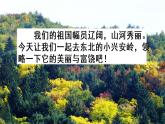 部编版三年级语文上册《美丽的小兴安岭》教学课件