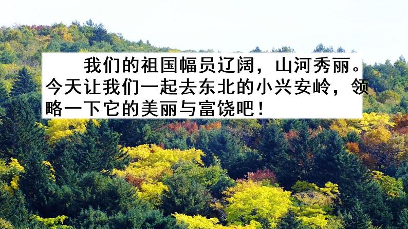 部编版三年级语文上册《美丽的小兴安岭》教学课件01