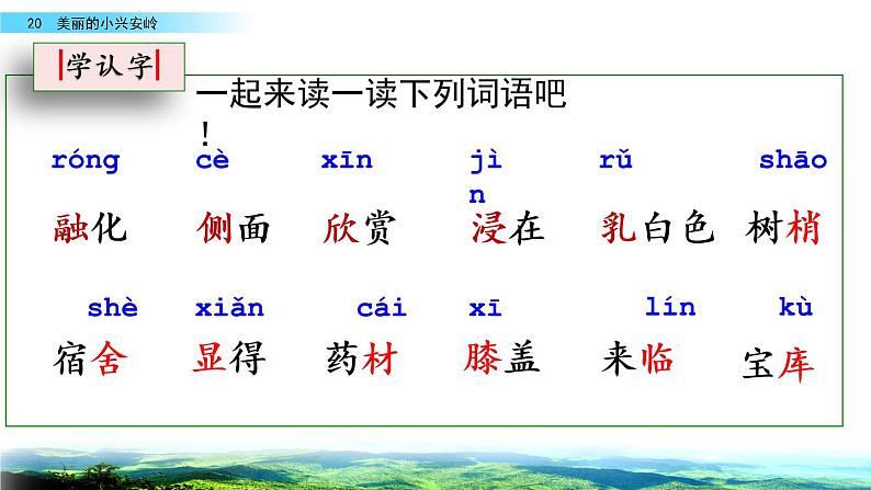 部编版三年级语文上册《美丽的小兴安岭》教学课件05