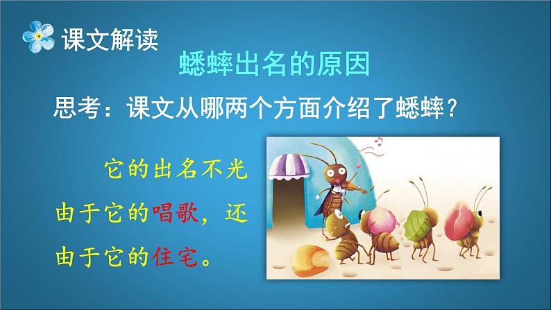 四年级语文上册 《蟋蟀的住宅》第二课时 课件03