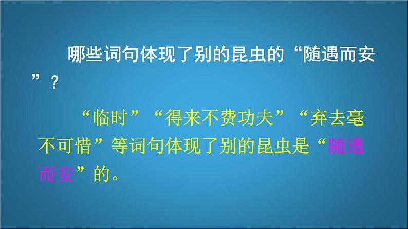 四年级语文上册 《蟋蟀的住宅》第二课时 课件05