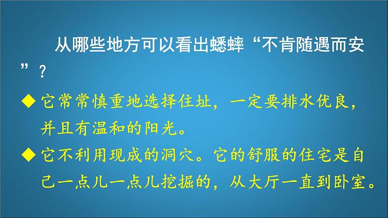 四年级语文上册 《蟋蟀的住宅》第二课时 课件06