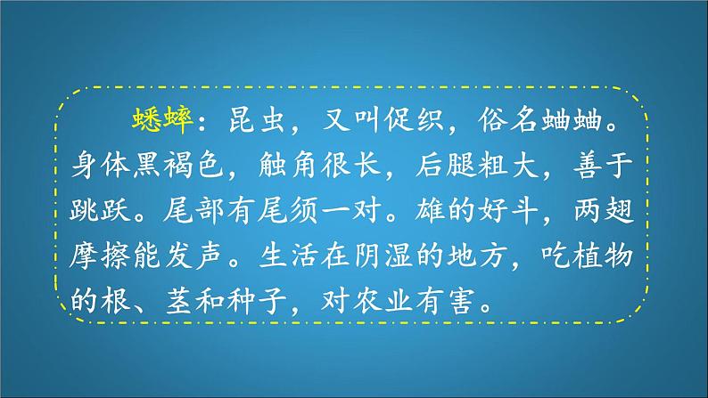 四年级语文上册 《蟋蟀的住宅》第一课时教学课件第4页