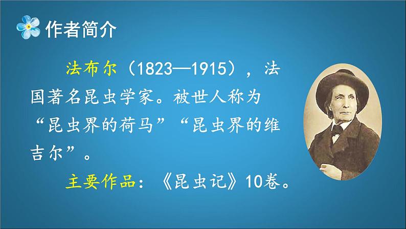 四年级语文上册 《蟋蟀的住宅》第一课时教学课件第6页