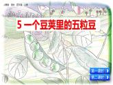 四年级上册语文 《一个豆荚里的五粒豆》 教学课件