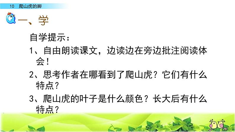 四年级上册语文 《爬山虎的脚》第二课时 课件第5页