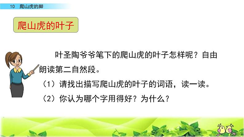 四年级上册语文 《爬山虎的脚》第二课时 课件第7页