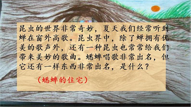 四年级语文上册 蟋蟀的住宅   教学课件第1页