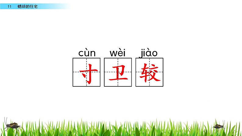 四年级语文上册 蟋蟀的住宅   教学课件第7页